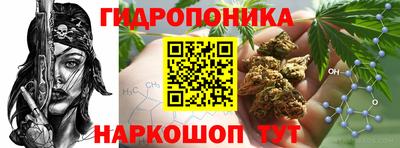 гашик Кулебаки