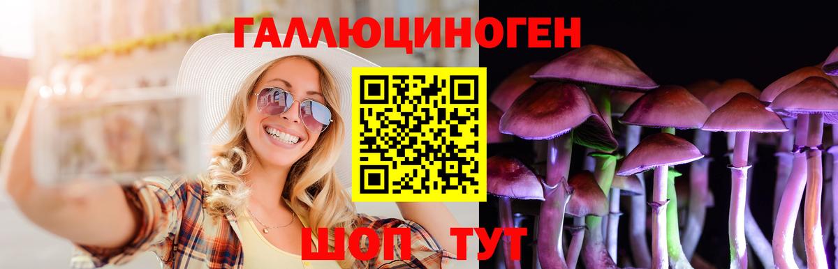 Псилоцибиновые грибы мухоморы  Псилоцибиновые грибы Cubensis  Вход с VPN  как найти   Кизляр 